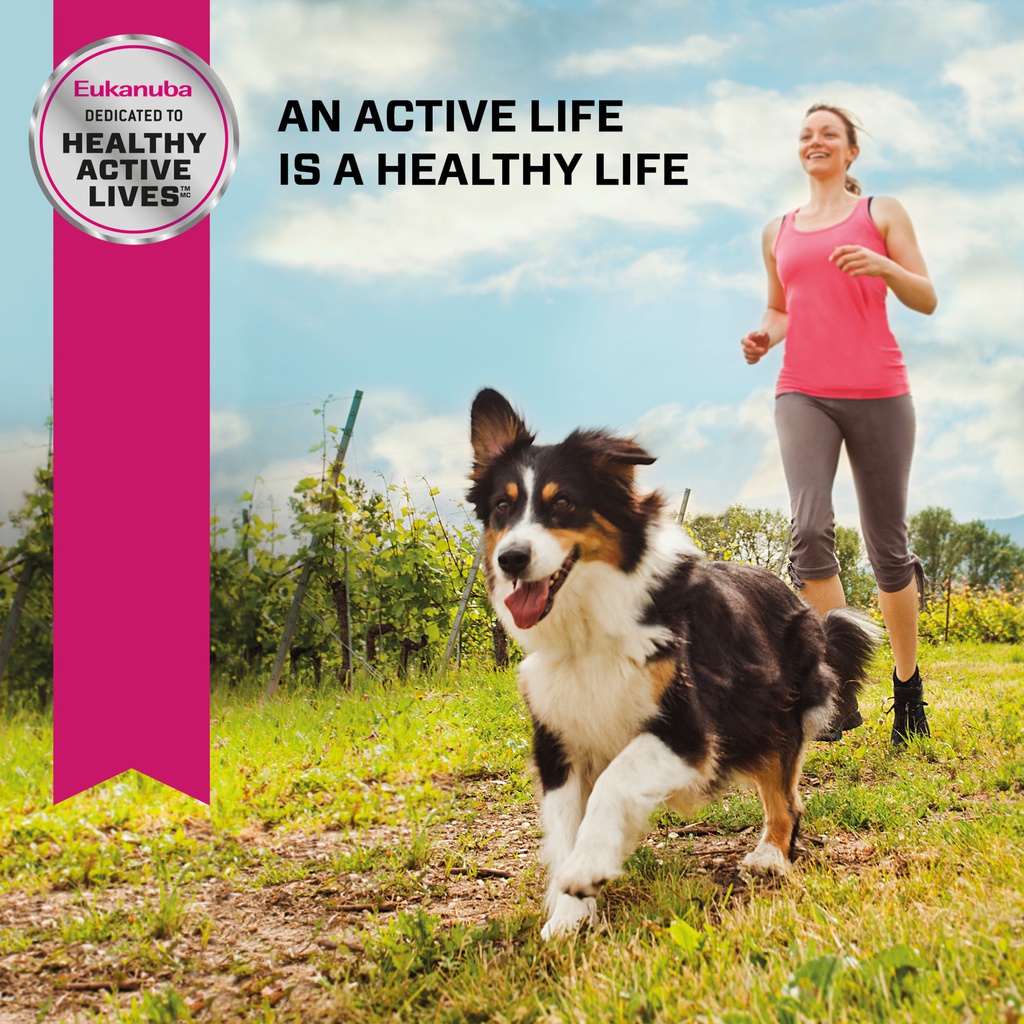 Active Life 1