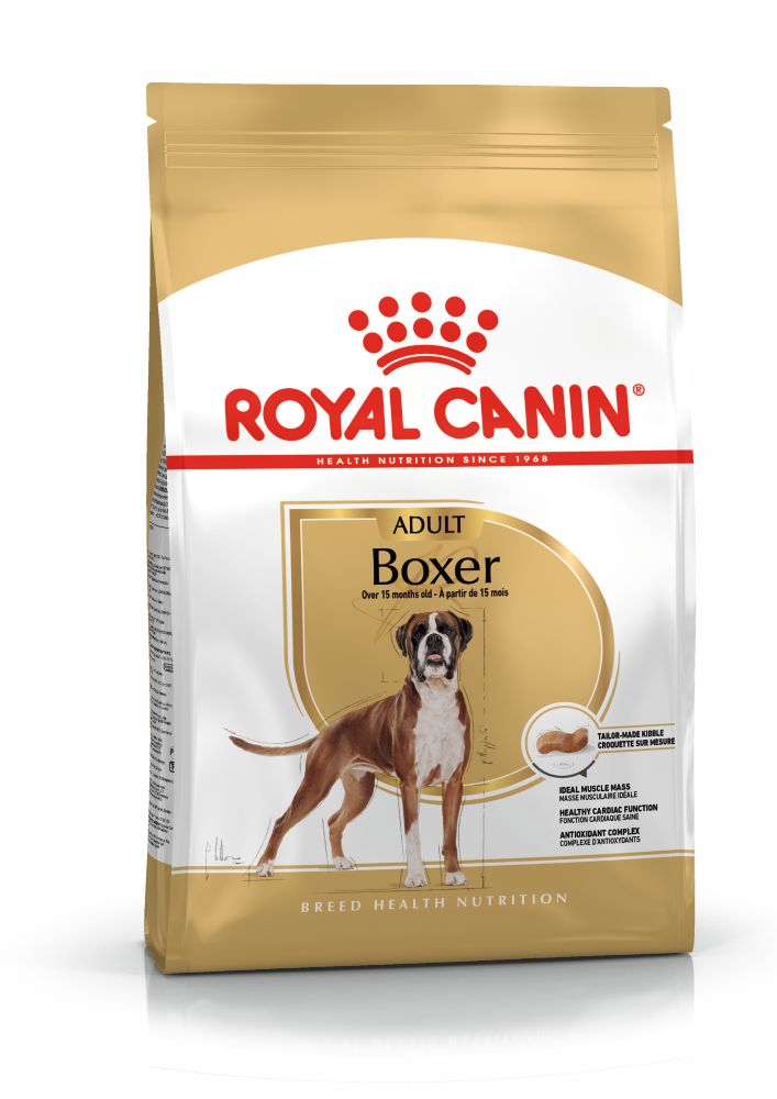 BHN Boxer
