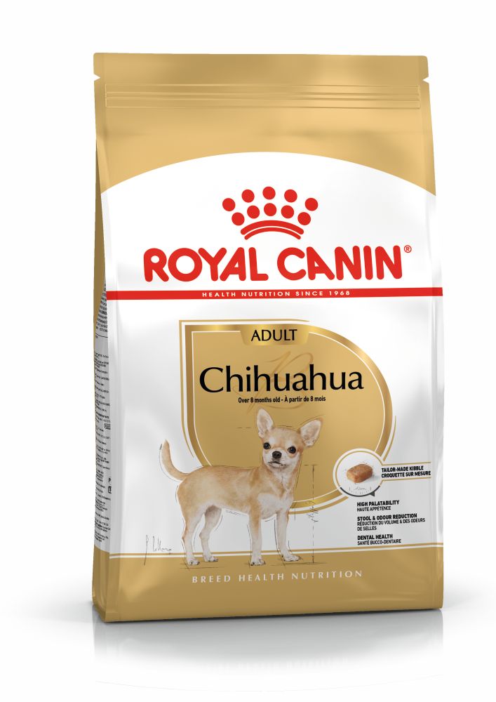 BHN Chihuahua Adult