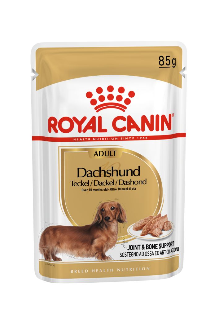 BHN Dachshund Wet 