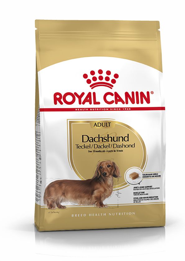 BHN Dachshund Adult 