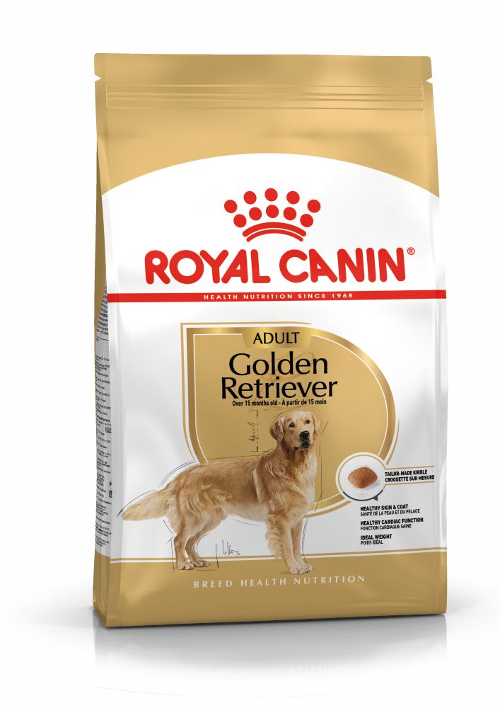 BHN Golden Retriever 