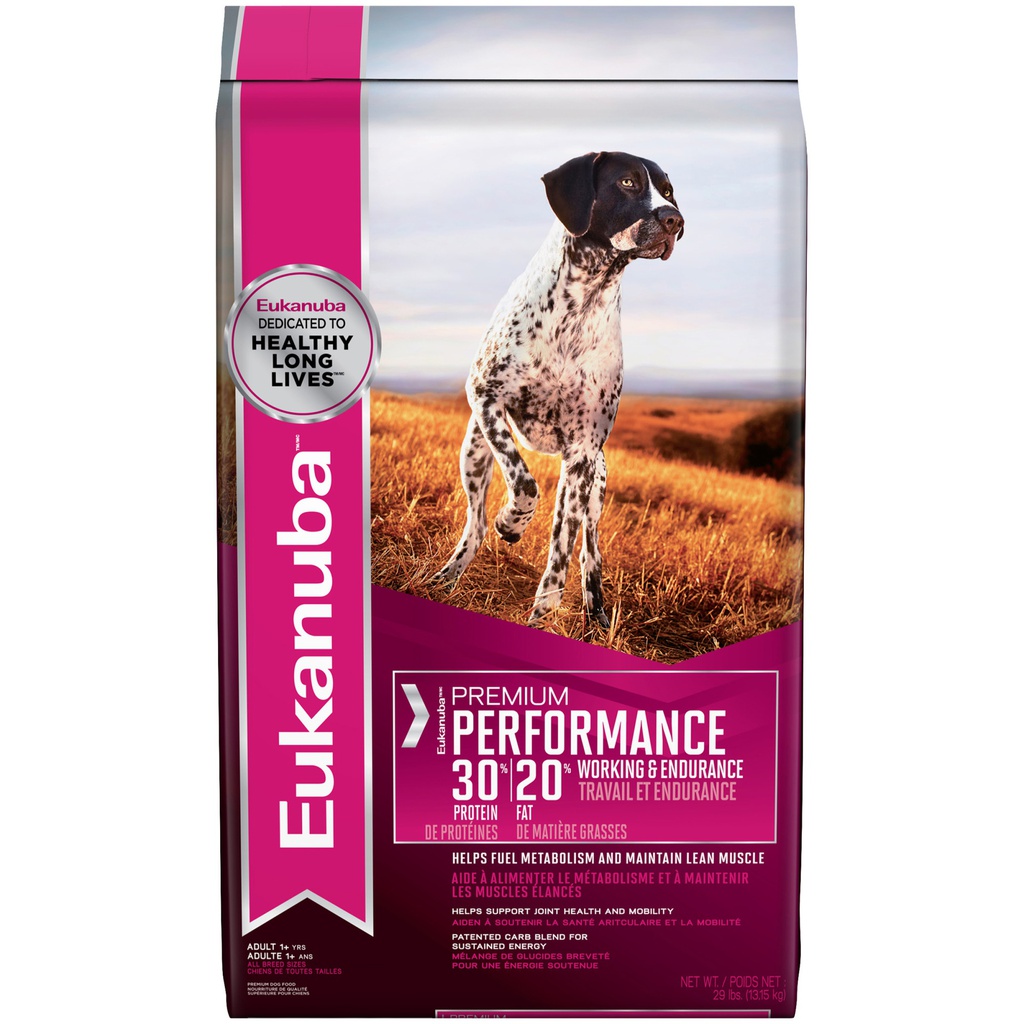 Performance 1