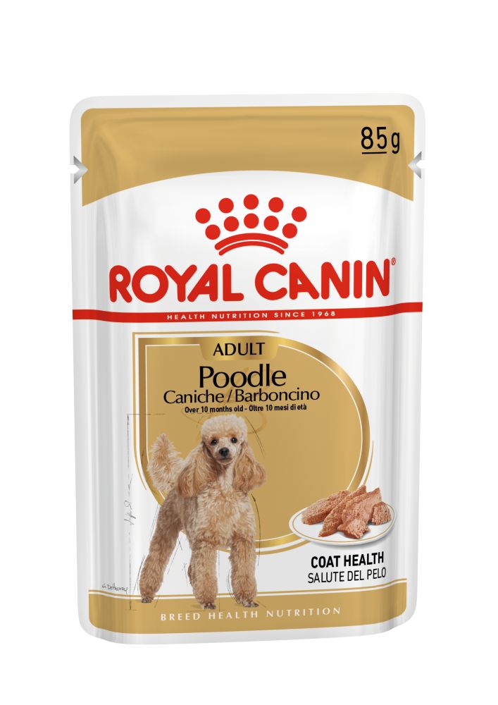 BHN Poodle Wet 
