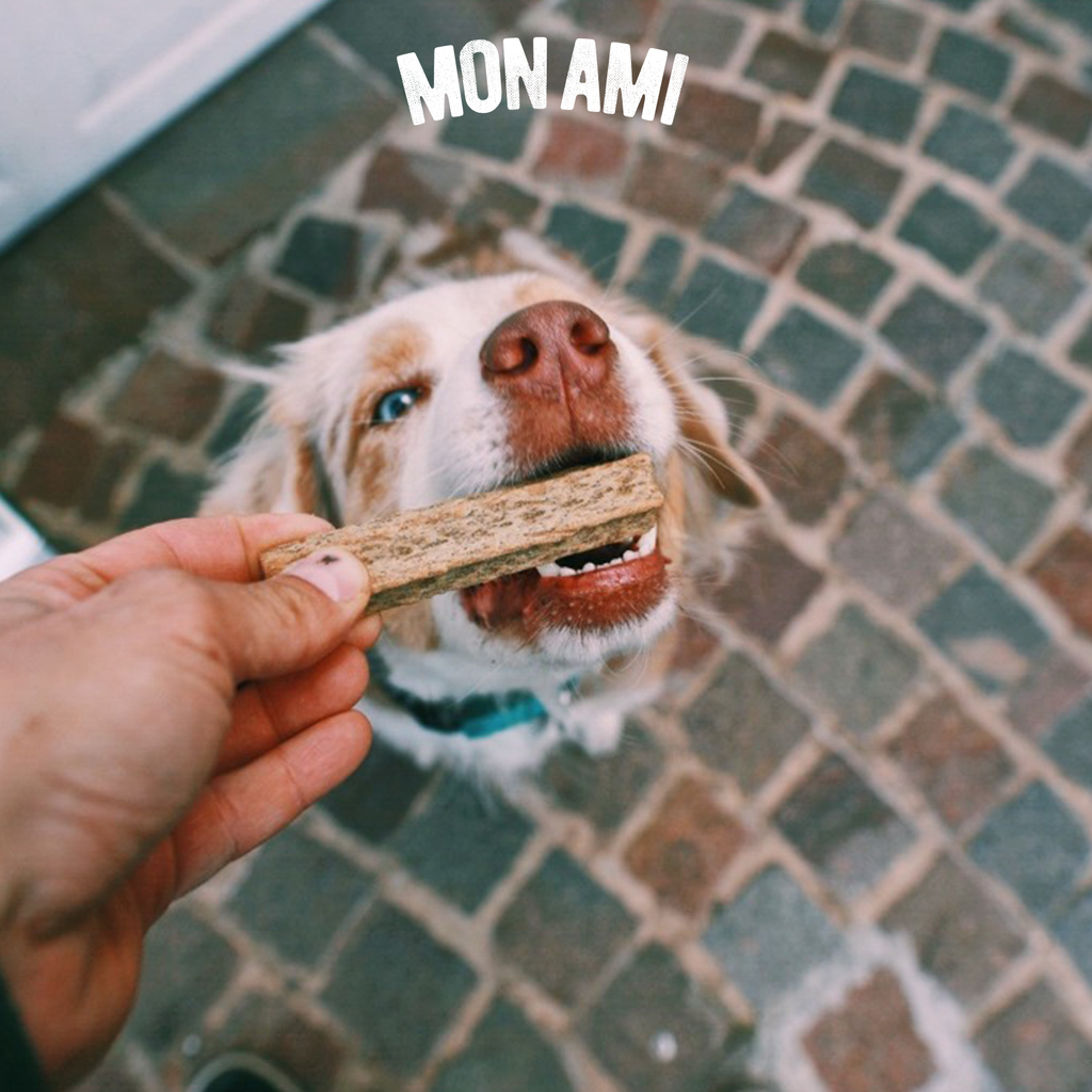 Dental Clean Chicken Dog 1