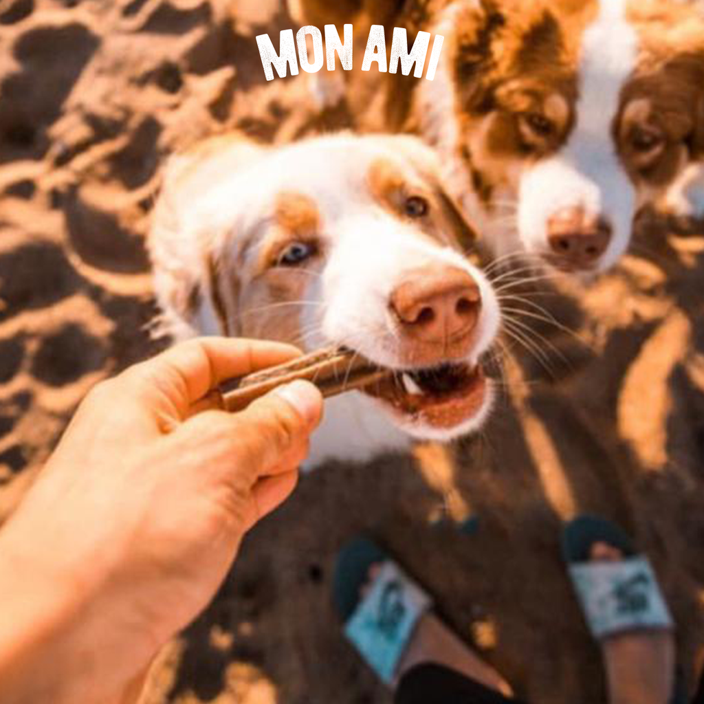 Dental Clean Chicken Dog 2