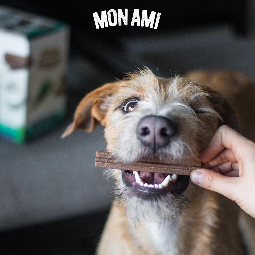 Dental Clean Pippermint Flavored Dog 1