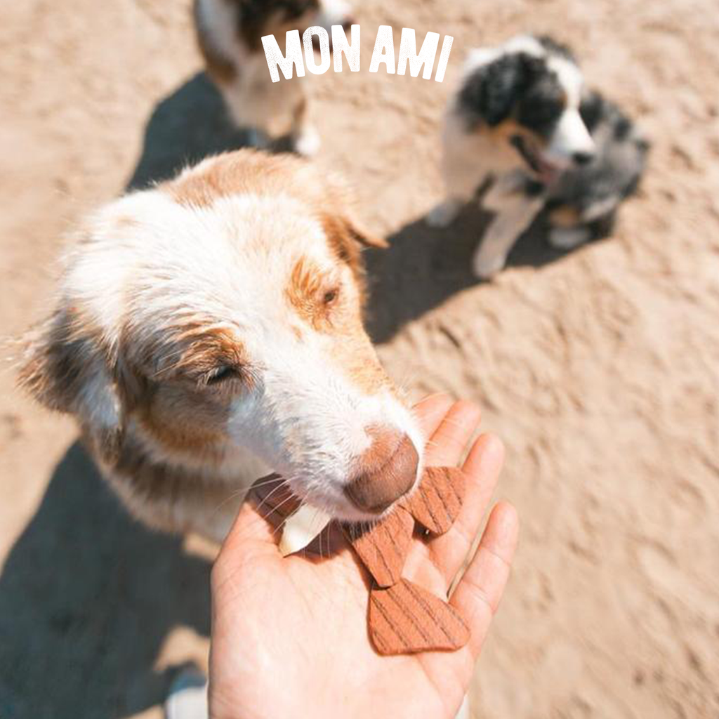 Snack Beef Grilled Dog 1