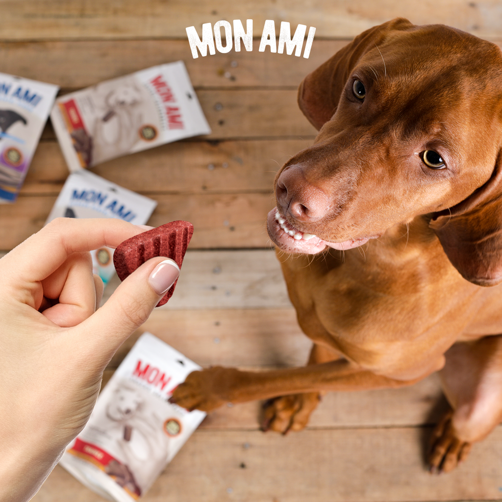 Snack Beef Grilled Dog 2