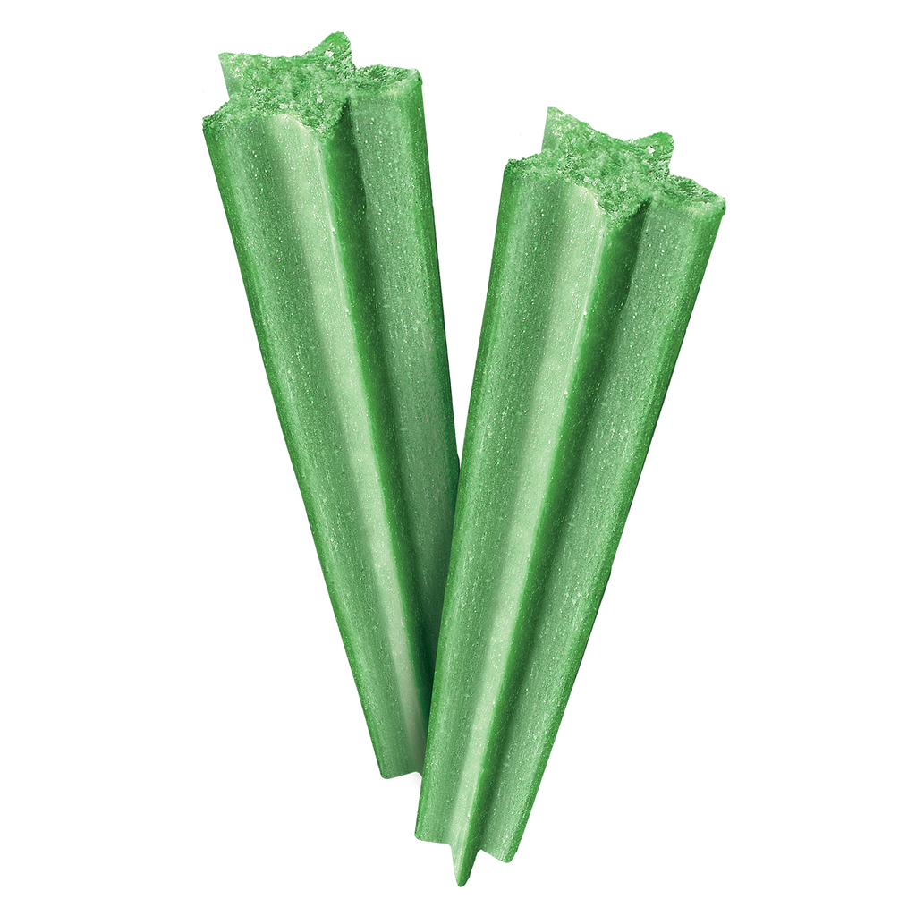 Dental Vegan 4
