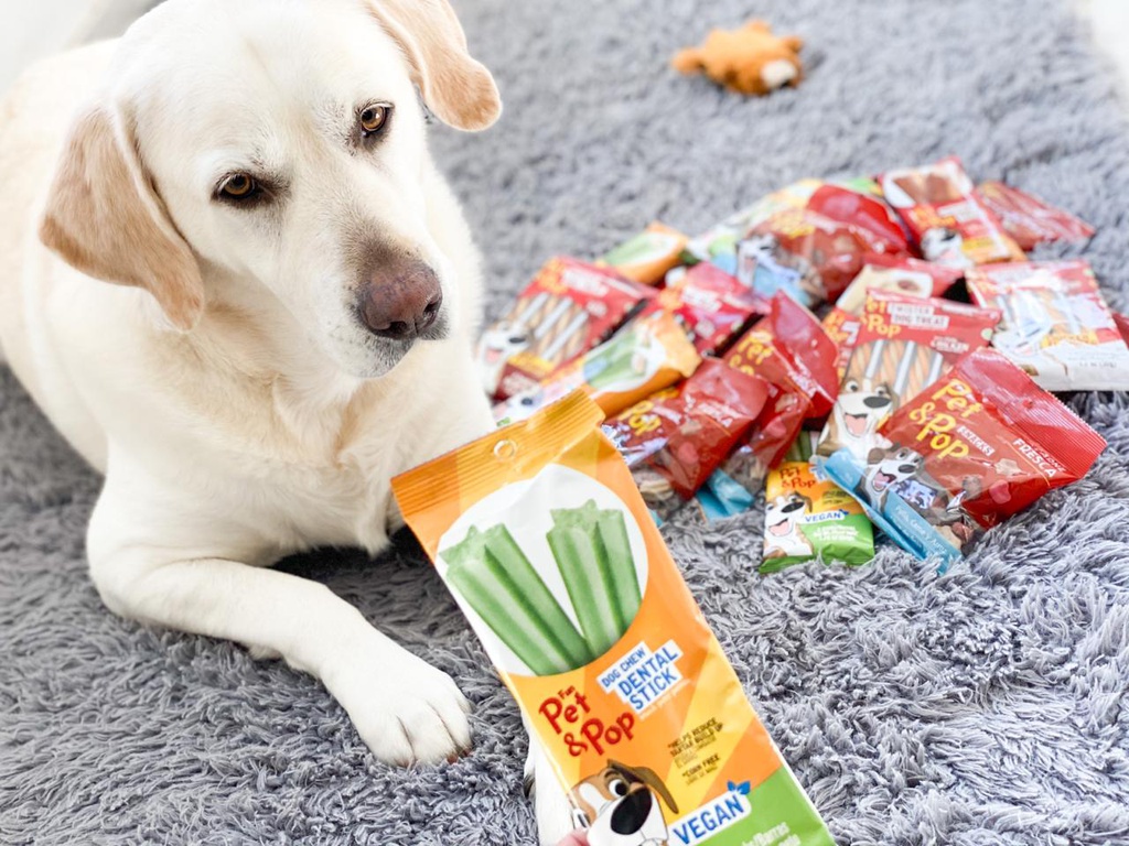 Dental Vegan Dog 1