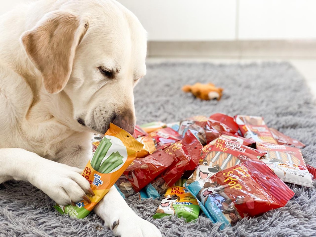 Dental Vegan Dog 2