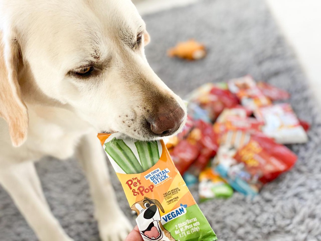 Dental Vegan Dog 3