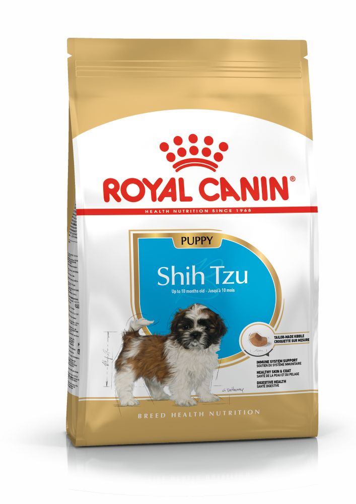 BHN Shih Tzu Puppy