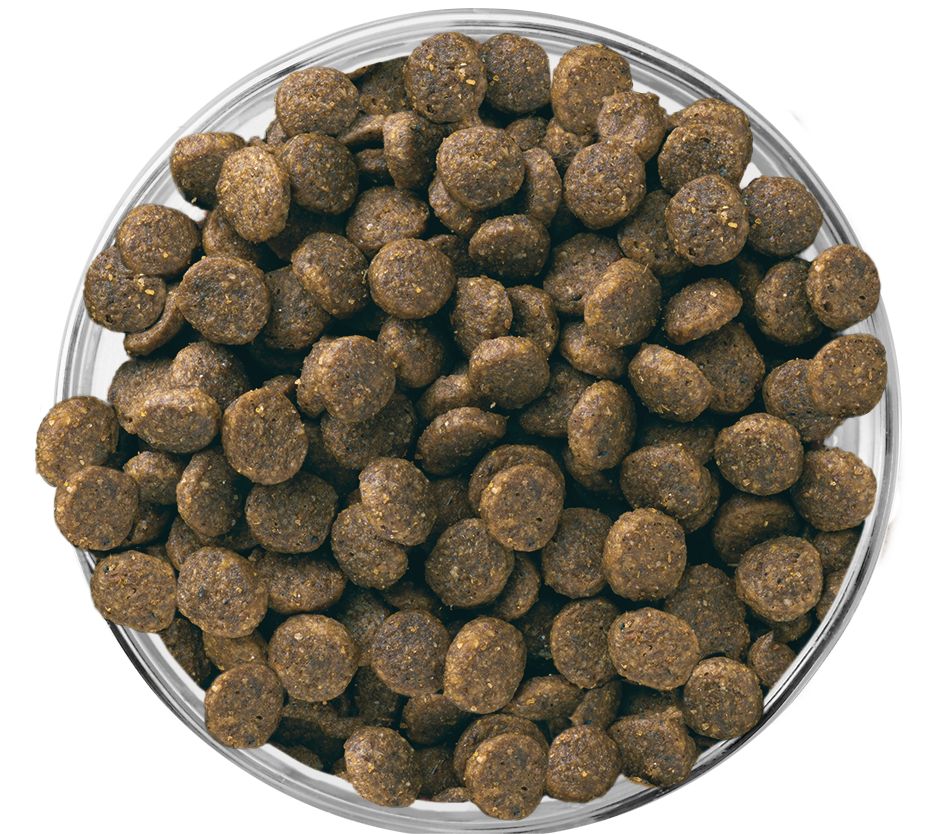 Puppy Small Breed Kibble