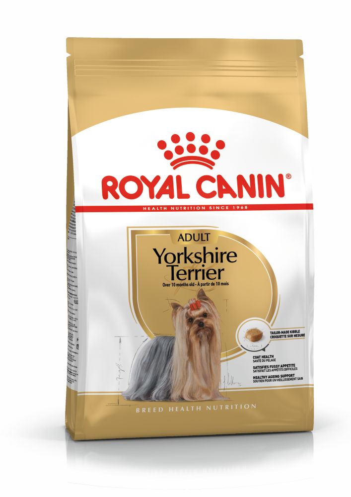 BHN Yorkshire Adult 