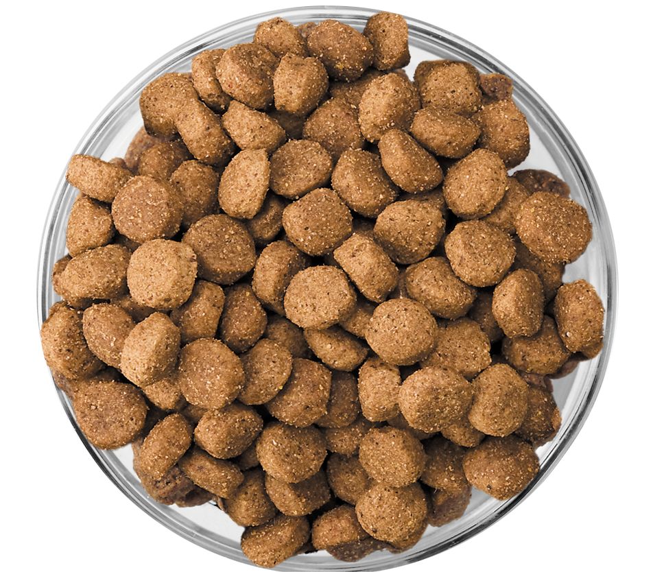Puppy Large Breed Kibble