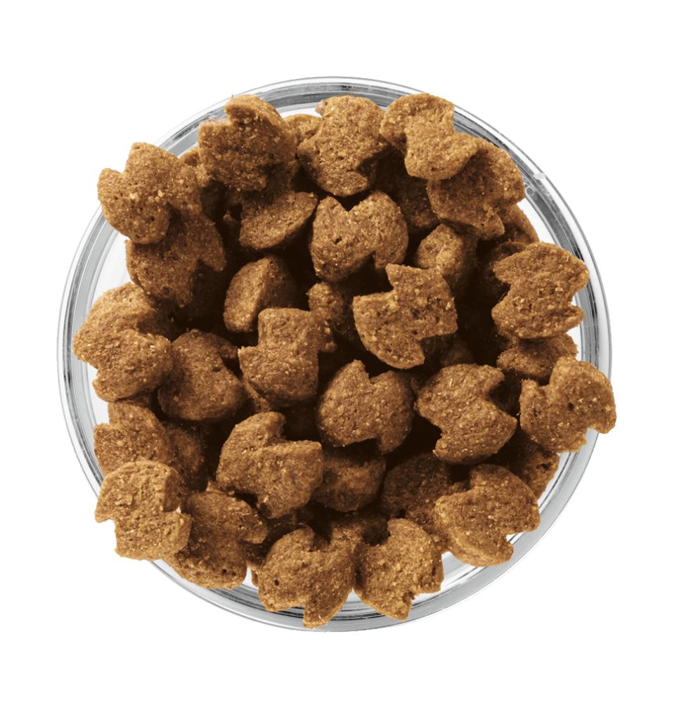 Adult-Senior-Fit Medium Breed Kibble