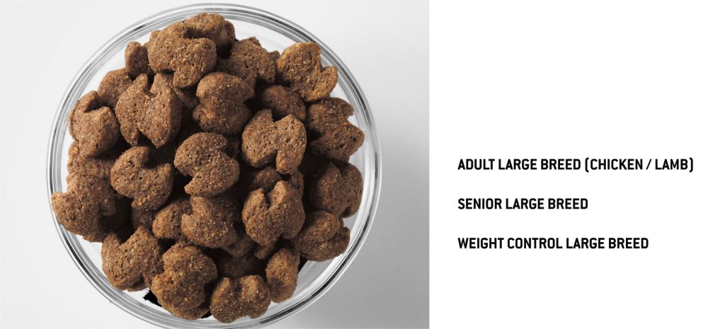 Adult-Senior-Fit Large Kibble