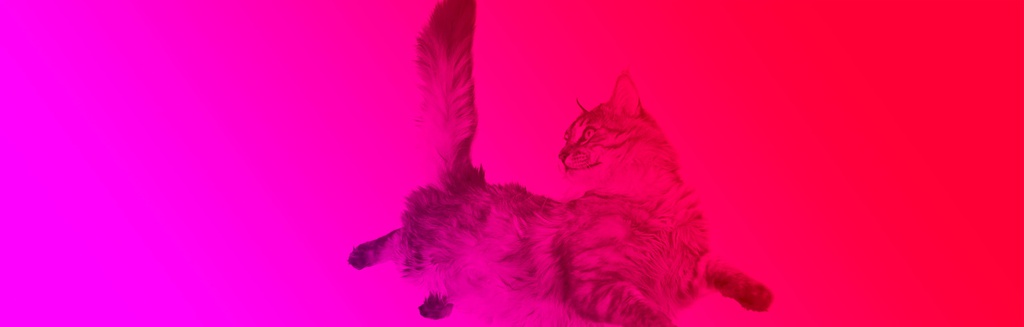 Noba Science Red and Pink Cat