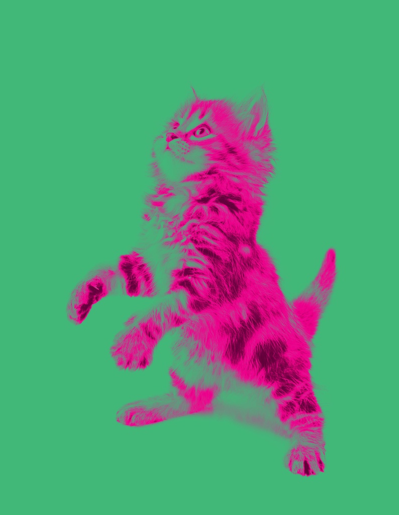 Noba Science Green Cat 2