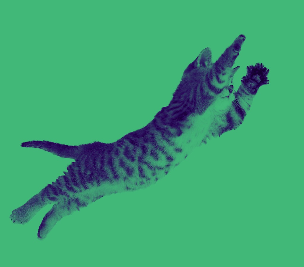 Noba Science Green Cat