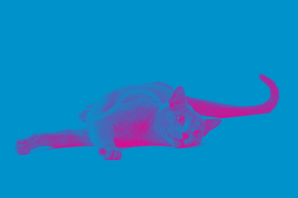 Noba Science Blue Cat