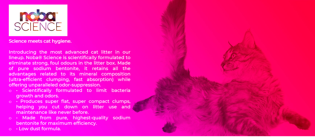 Noba Science Arguments