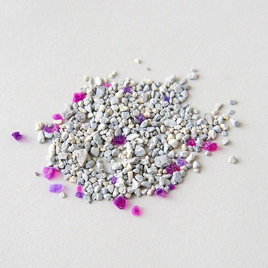 Noba Science Litter 2