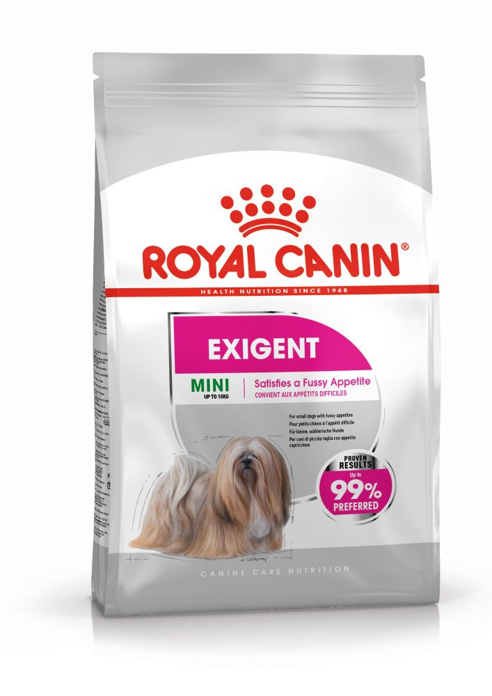 CCN Exigent Mini