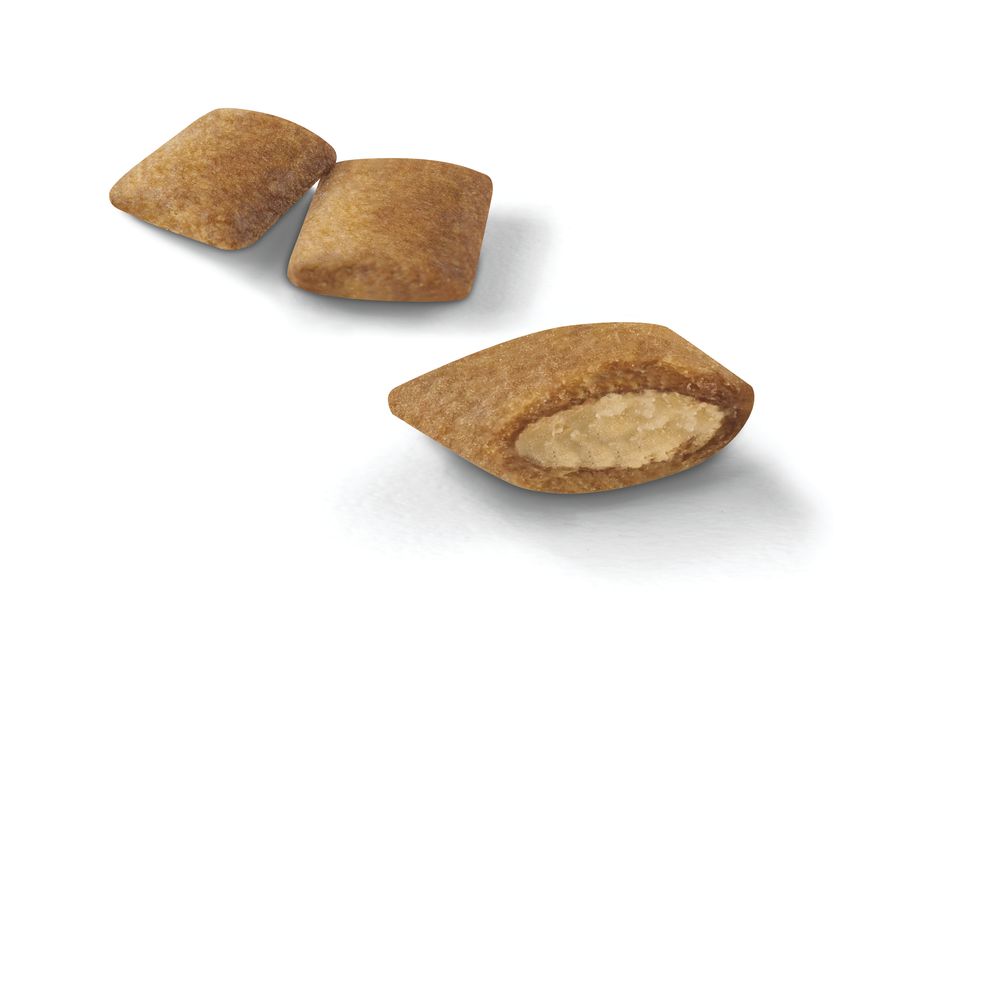 Kibble Ageing +12 Cat