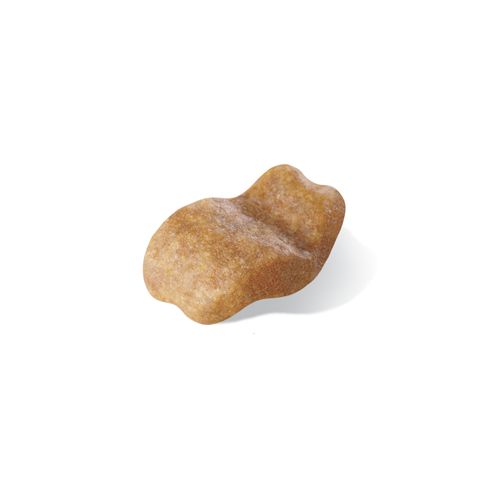 Kibble Bulldog Adult