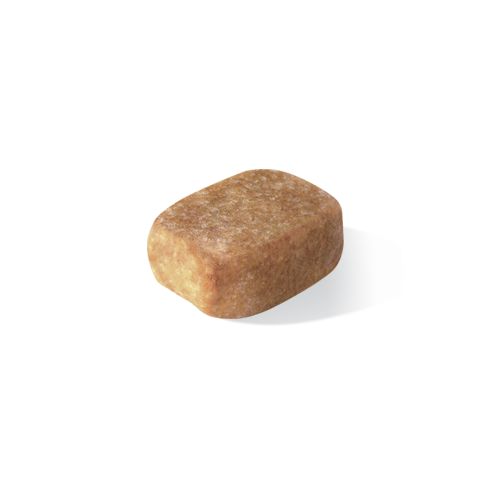 Kibble Chihuahua Adult