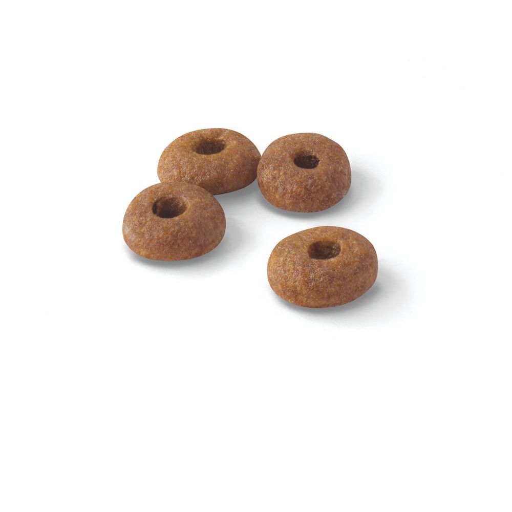 Kibble Fit 32