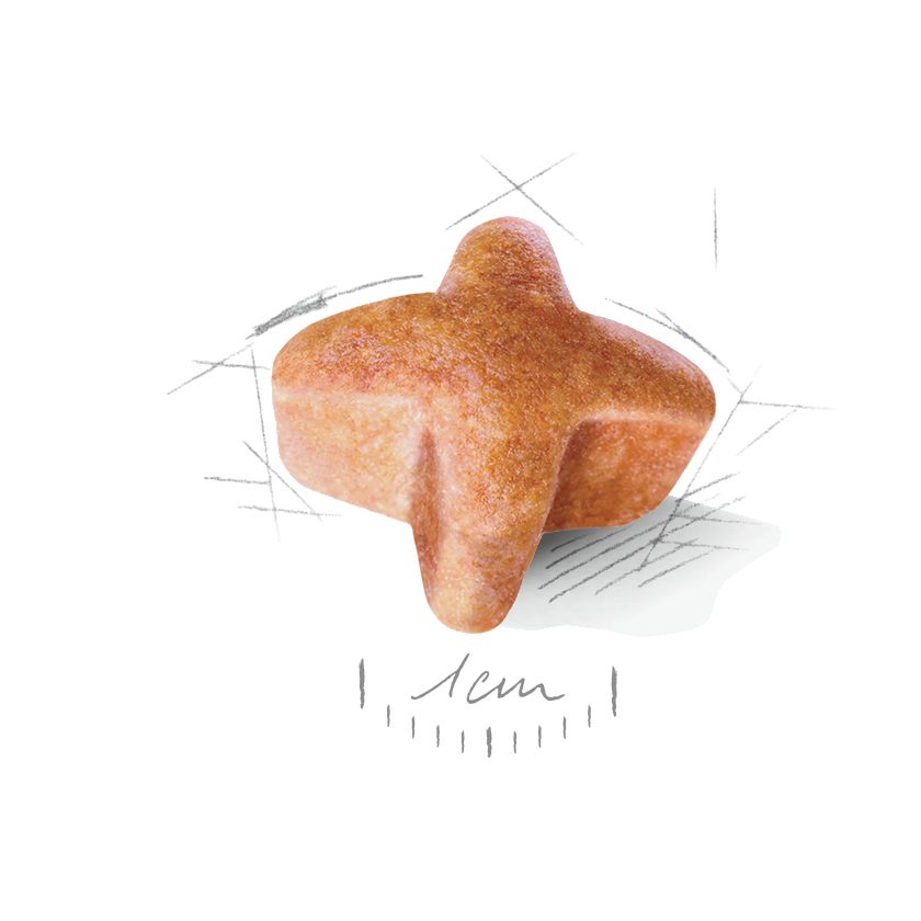 Kibble German Shepherd