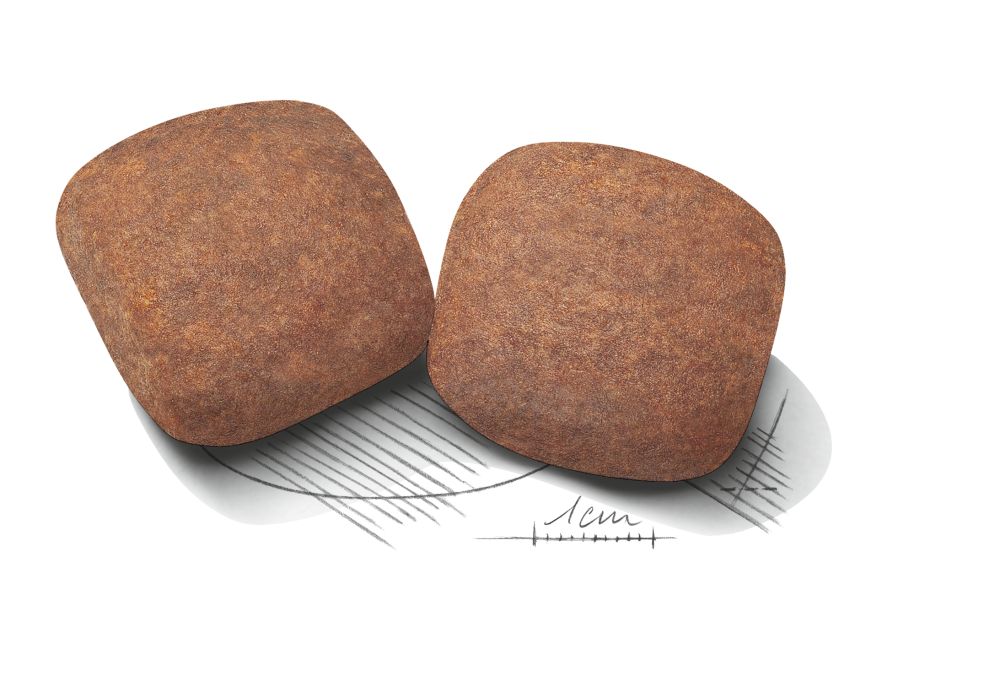 Kibble Giant Adult