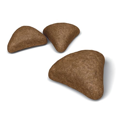 Kibble Hairball Care