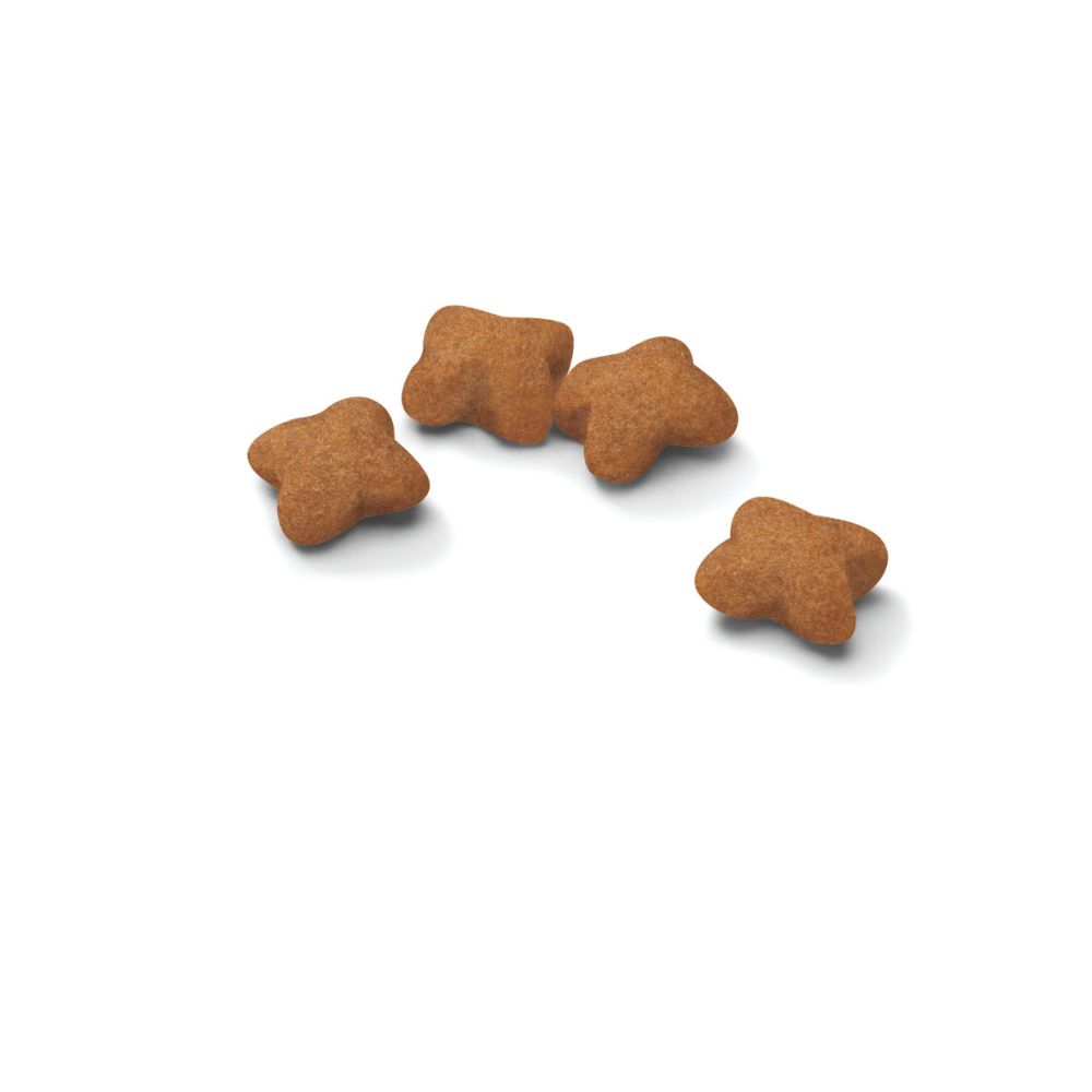 Kibble Kitten Sterilized