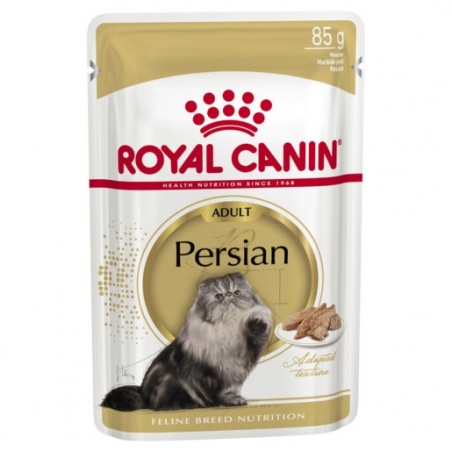 FBN Wet Persian
