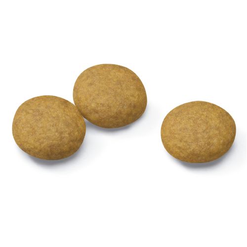 Kibble Maxi Dermaconfort