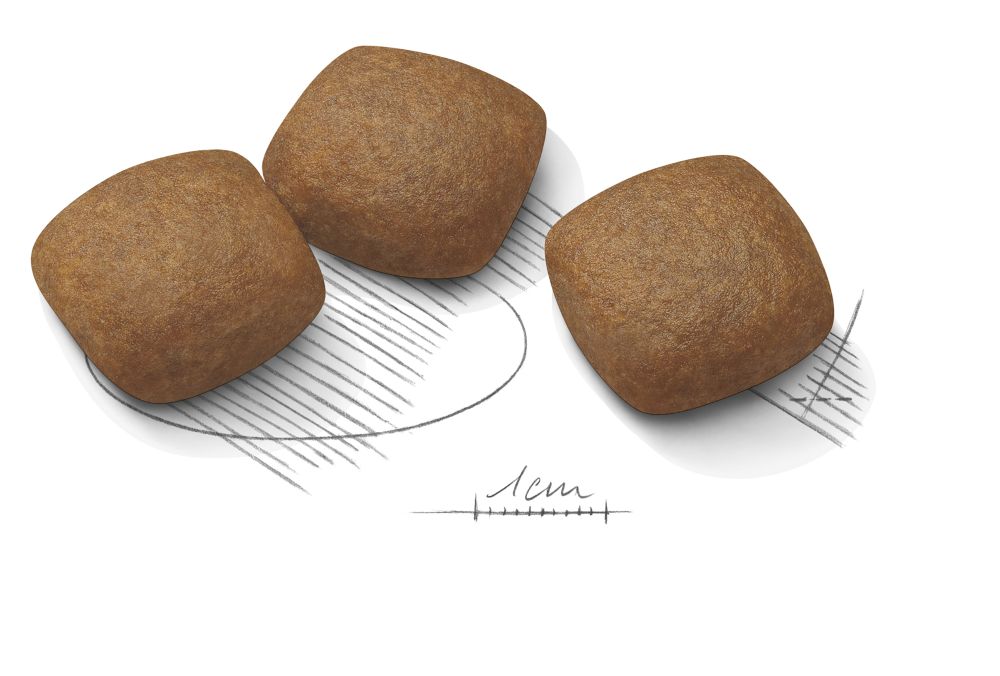 Kibble Maxi Joint Care