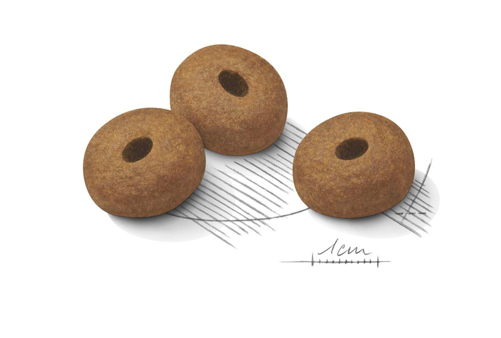 Kibble Maxi Light Care