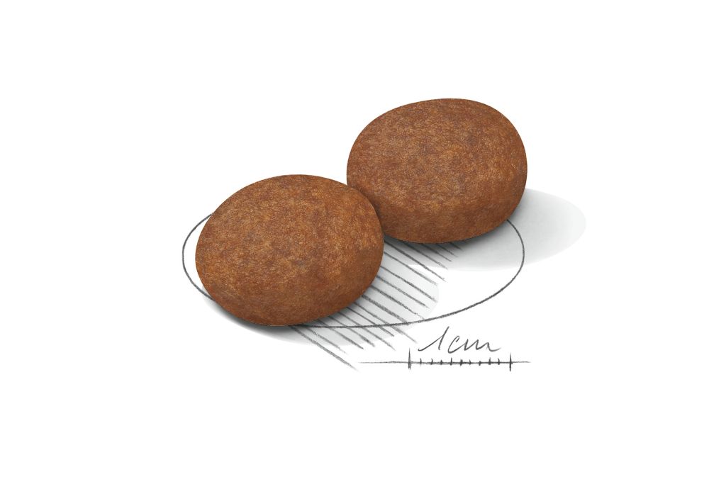 Kibble Medium +7