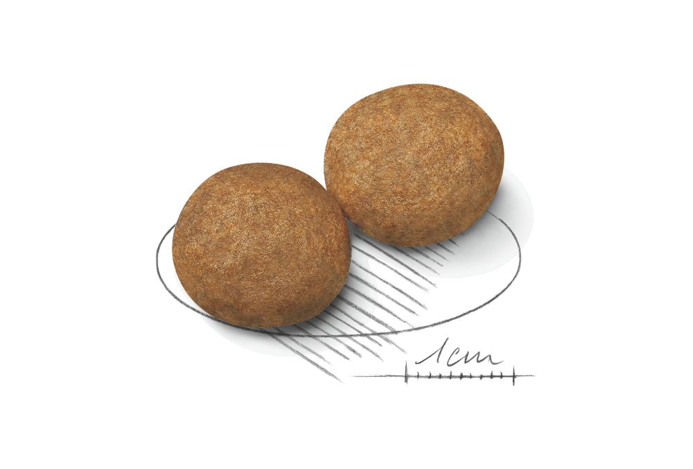 Kibble Medium Adult