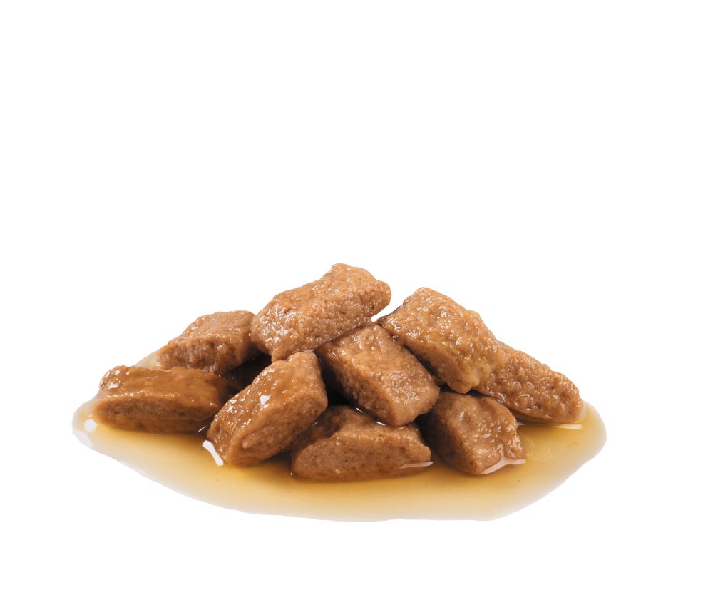 Wet Medium Adult