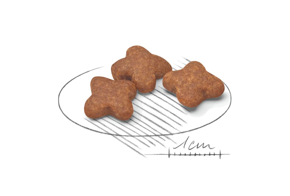 Kibble Mini Adult