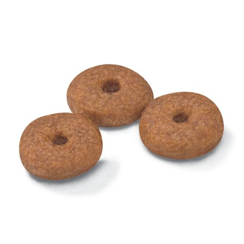 Kibble Mini +8