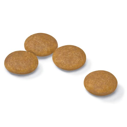 Kibble Mini Dermaconfort