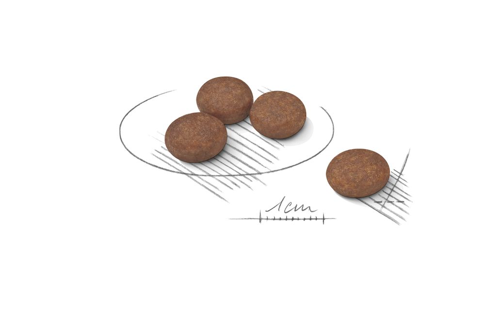 Kibble Mini Digestive Care