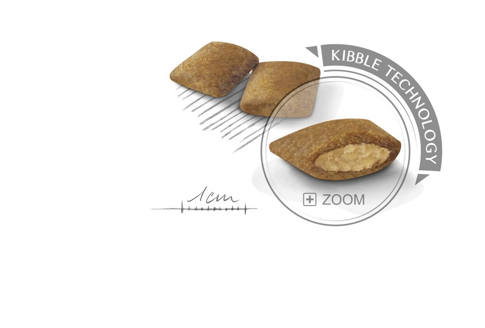 Kibble Mini Exigent